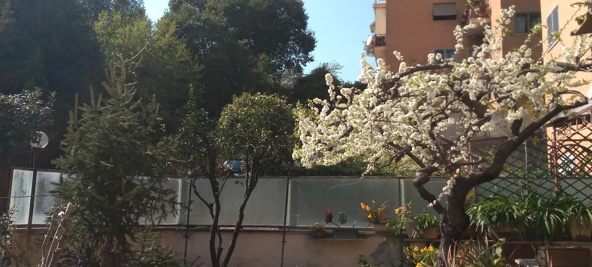 Il Giardino Dell'Eden 10 - Alloggio Turistico Di Barbara C Rome 0*,  Italy